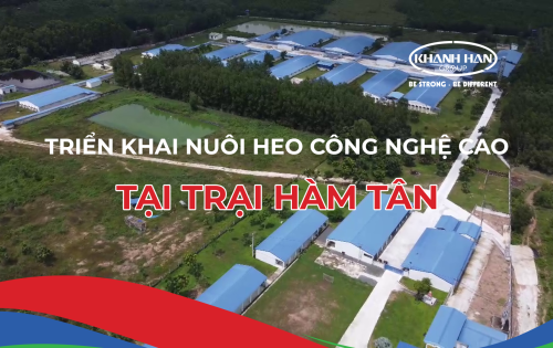 KHÁNH HÂN GROUP CHÍNH THỨC TIẾP NHẬN TRẠI HÀM TÂN, CHĂN NUÔI HEO CÔNG NGHỆ CAO