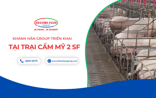 KHÁNH HÂN GROUP TIẾP NHẬN TRẠI CẨM MỸ 02SF - MỞ RỘNG QUY MÔ CHĂN NUÔI HEO NÁI TẠI ĐỒNG NAI