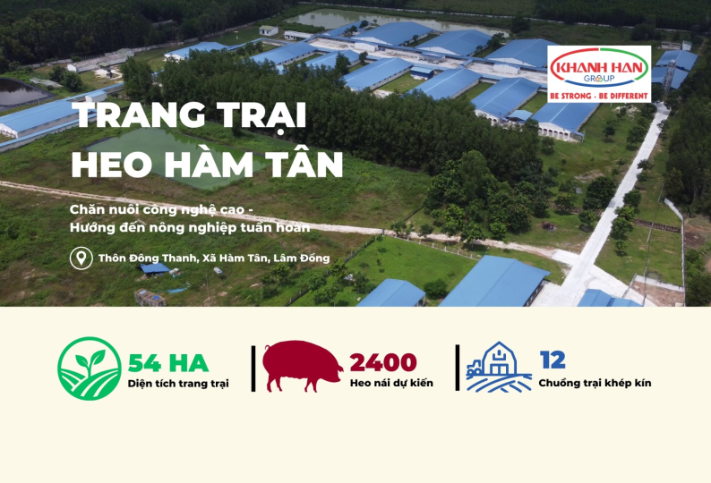 TRANG TRẠI HEO HÀM TÂN - BƯỚC TIẾN CHIẾN LƯỢC CỦA KHÁNH HÂN GROUP TRONG CHĂN NUÔI CÔNG NGHỆ CAO