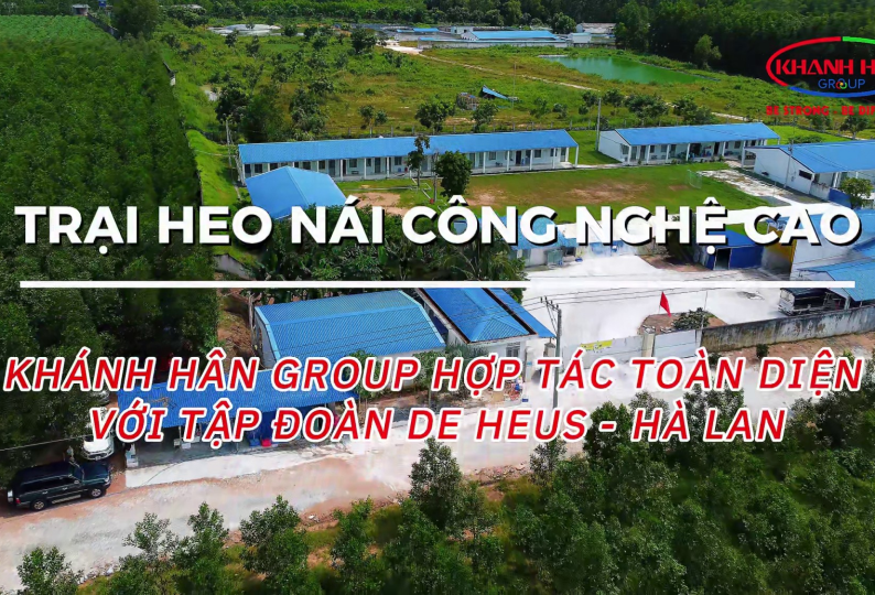 HỢP TÁC TOÀN DIỆN VỚI TẬP ĐOÀN DE HEUS - HÀ LAN - TRẠI HEO NÁI CÔNG NGHỆ CAO HÀM TÂN
